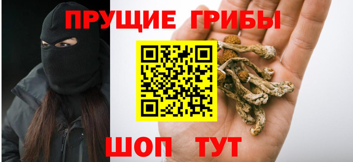 Псилоцибиновые грибы мухоморы Скопин