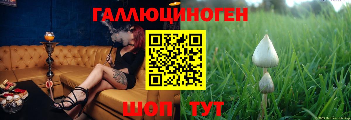 Скопин  Псилоцибиновые грибы Cubensis  Вход с VPN  Галлюциногенные грибы Magic Shrooms 